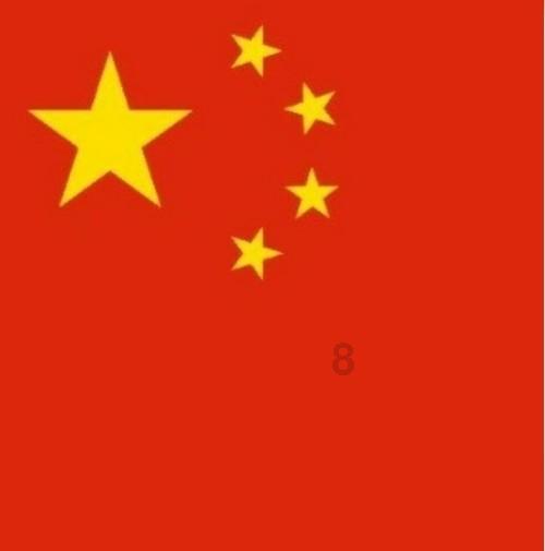 无忧国际wy6999